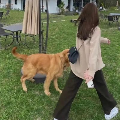 非人哉第三季